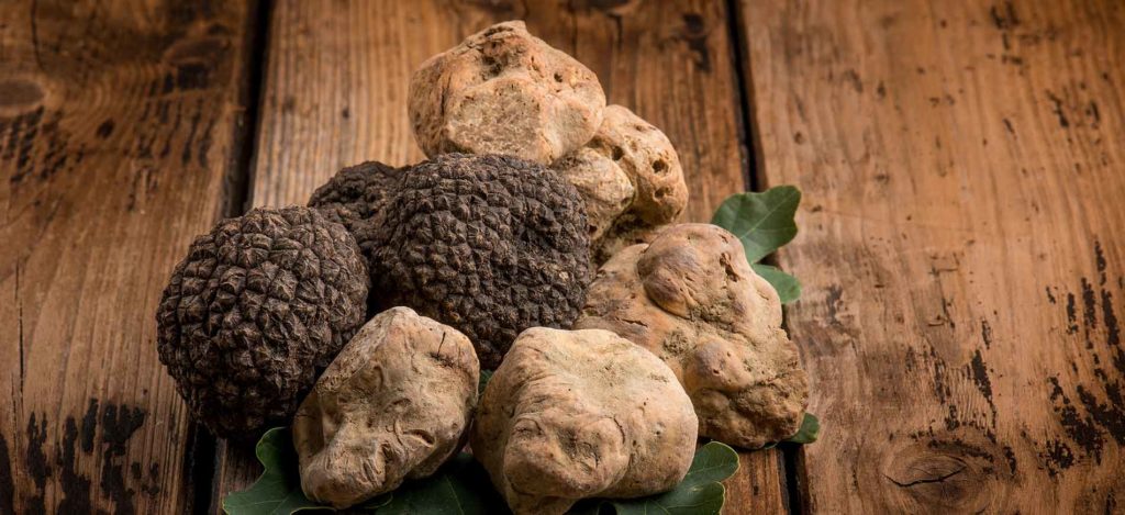 truffes