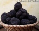 TRUFFES-D-ETE-EBAY-1-KILO-PORT-GRATUIT.jpg