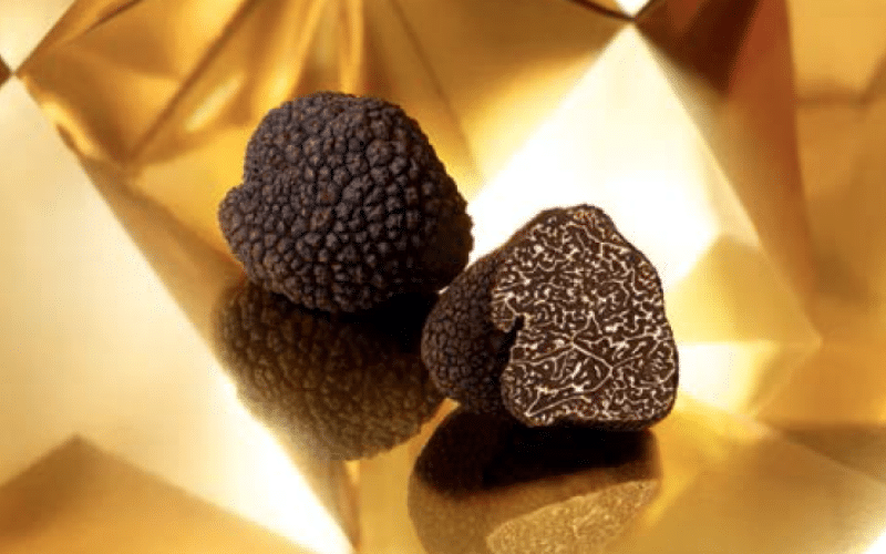 Morceaux de Truffes Noires Fraîches Tuber Melanosporum Origine