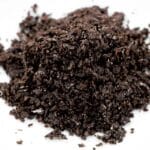 Brisures de truffe pour omelette tuber uncinatum