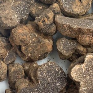 Acheter de la truffe noire fraîche Tuber Melanosporum Barcelona, Vente de truffe  noire fraîche Barcelone