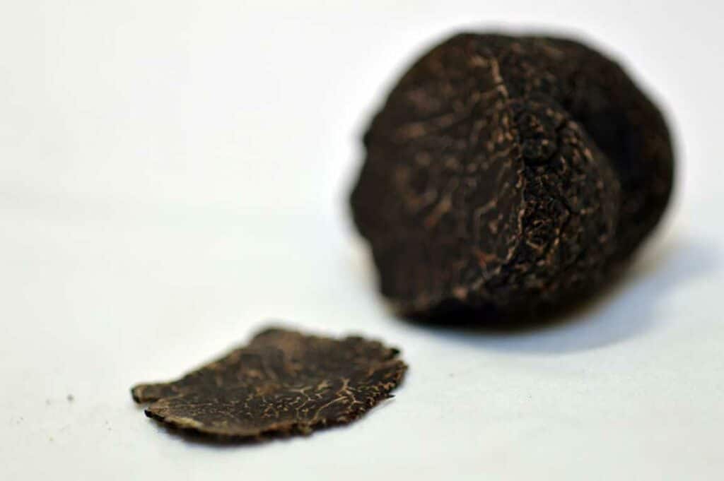 truffes---tuber