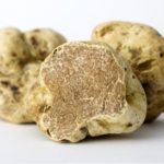 Truffes d'Alba Fraîches magnatum pico