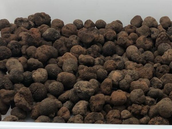 3-kilos-de-petites-tuber-melanosporum-de-fin-de-saison-brossées-à-sec-bien-parfumées-1-2.jpg