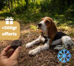 500gr truffe automne/hiver congelée dressage chien