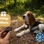 500gr truffe automne/hiver congelée dressage chien