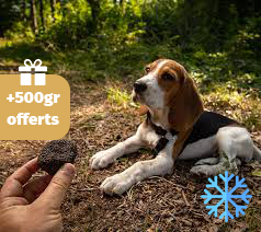 500gr truffe automne/hiver congelée dressage chien