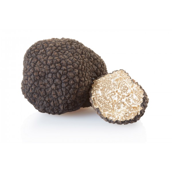 Truffe blanche d'été - 0,100 g - Truffes de Soulière