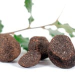 tuber melanosporum Truffes du Périgord fraîches