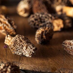 Truffe, truffe fraîche, truffe congelée, truffe noire, truffe d'été en ligne