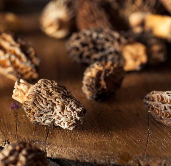 morilles 50g Morilles sèches spéciales – Image 1