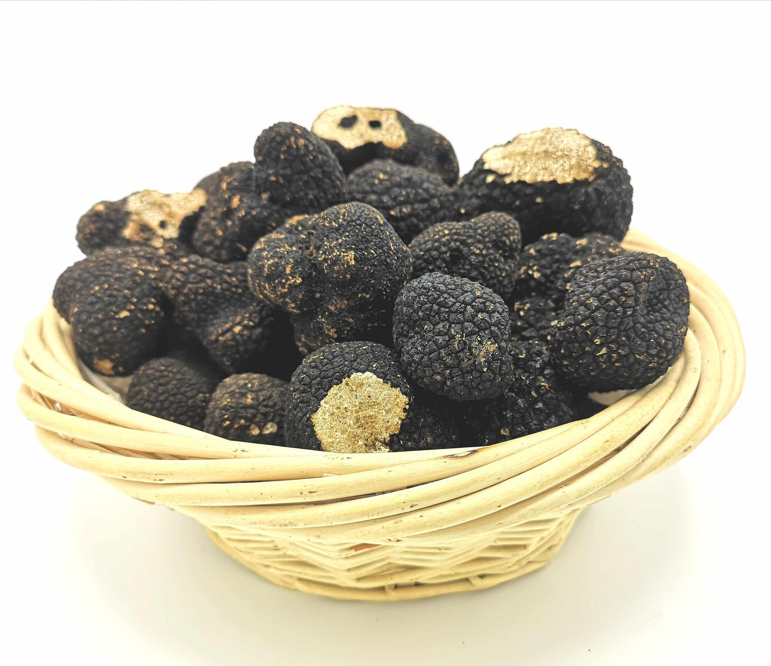 BRISURES DE TRUFFE NOIRE D'ÉTÉ (TUBER AESTIVUM) - BOCAL DE 500GR