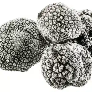 truffes congelees