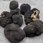 Tuber uncinatum truffe à Valréas truffe de Bourgogne