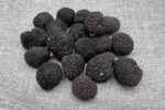 Truffes aestivum en Vaucluse à la Rabasse de l'enclave