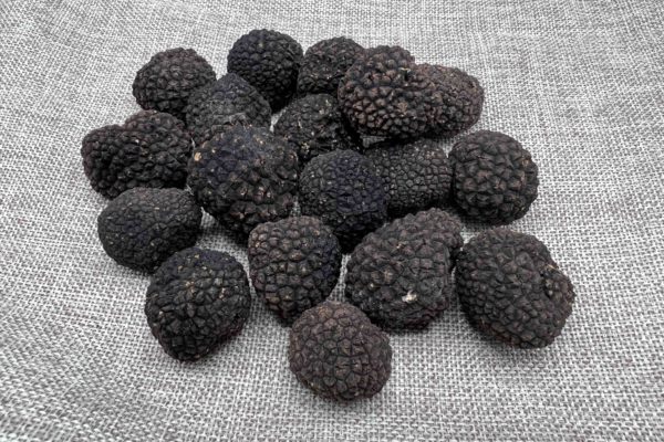 petite-truffe-tuber-aestivum-12g-la-rabasse-de-l-enclave Truffes aestivum en Vaucluse à la Rabasse de l'enclave