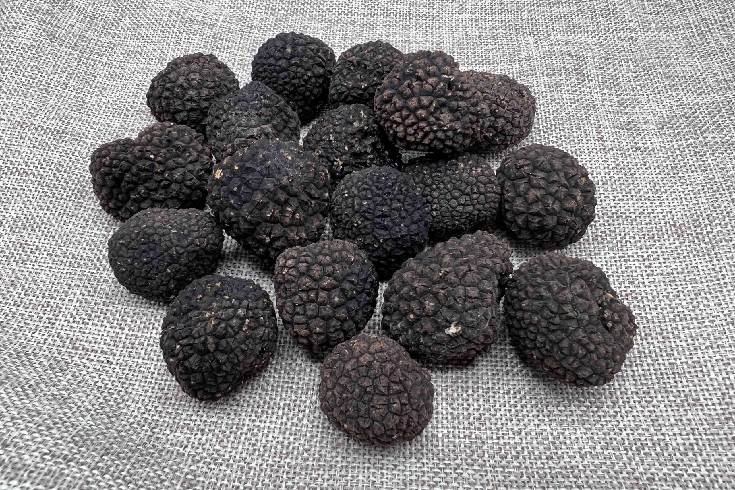 Achetez les Brisures de Truffe Noire du Périgord - 12g