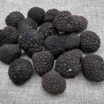 Truffes entières tuber aestivum en Vaucluse à Valréas