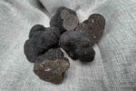 Truffe d hiver noir du Chili La Rabasse de l'enclave