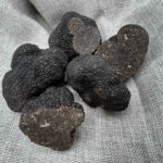 Truffe d hiver noir du Chili La Rabasse de l'enclave