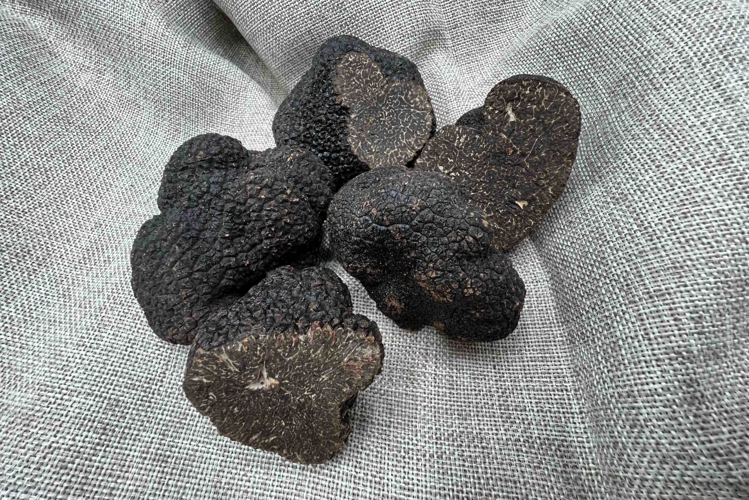 Les Truffes Noires du Périgord Entières Brossées 1er Choix