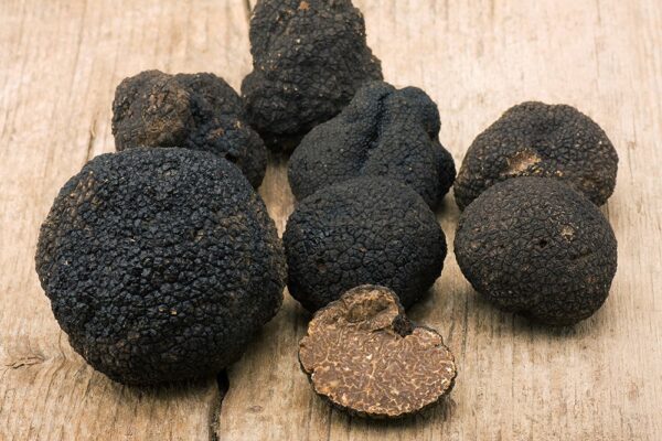 La truffe noire d'Australie