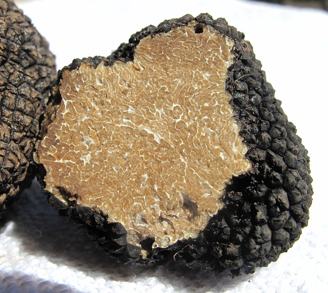 Comment utiliser la truffe blanche  Truffe blanche, conservation et  consommation