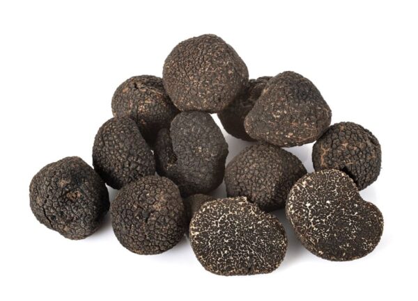 tuber-melanosporum(1)(1) Lot de Tuber Melanosporum ou Truffes du Périgord  lavées de moins de 15g de fin de saison – Image 1