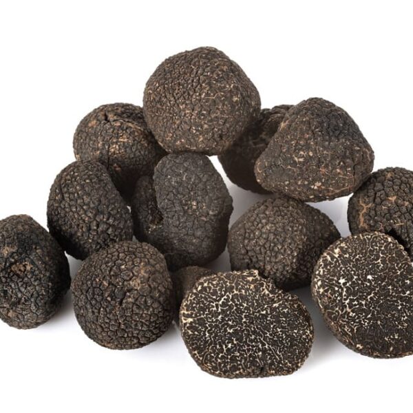 tuber-melanosporum11-600x600.jpg