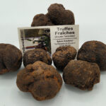 Truffes fraîches tuber melanosporum achat en ligne livraison en France