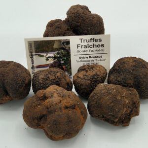 Truffes fraîches tuber melanosporum achat en ligne livraison en France