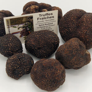 Truffes fraîches tuber melanosporum achat en ligne livraison en France