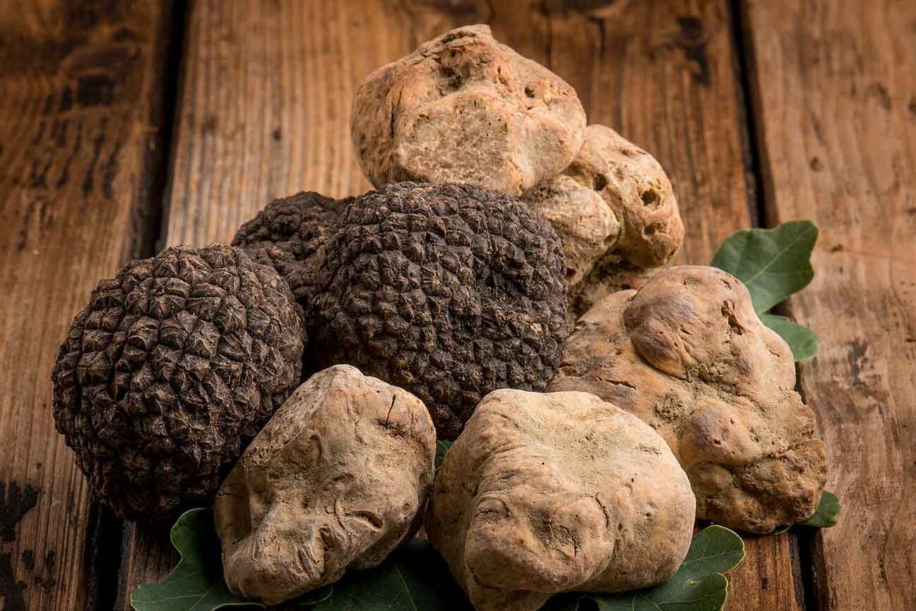 comment sublimer la truffe blanche d'alba