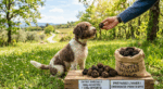 Truffes été/automne congelées pour le dressage des chiens – Image 3