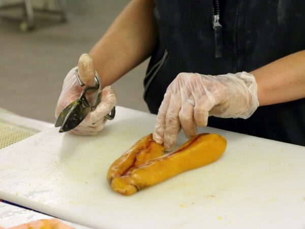 Poutargue ou Boutargue Artisanale +1 pochon – Image 2