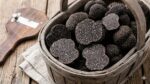 photos de truffes du CHILI entières et morceaux