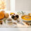 Courges et truffes 4 recettes d'automne faciles